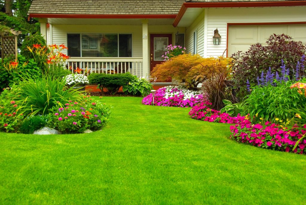 A well-manicured lawn and in front of a house