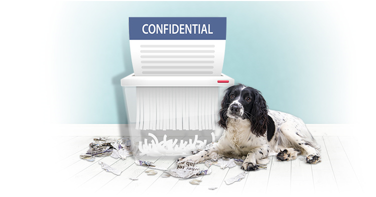 A black and white dog laying next to a shredder with a confidential document in it